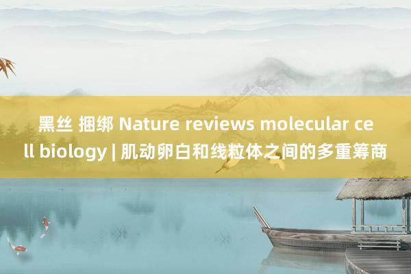 黑丝 捆绑 Nature reviews molecular cell biology | 肌动卵白和线粒体之间的多重筹商