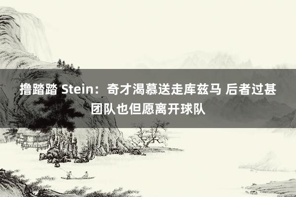 撸踏踏 Stein：奇才渴慕送走库兹马 后者过甚团队也但愿离开球队