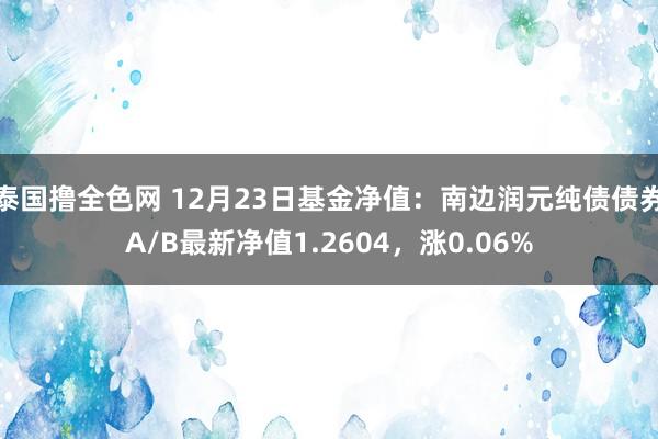 泰国撸全色网 12月23日基金净值：南边润元纯债债券A/B最新净值1.2604，涨0.06%