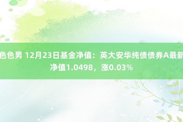 色色男 12月23日基金净值：英大安华纯债债券A最新净值1.0498，涨0.03%