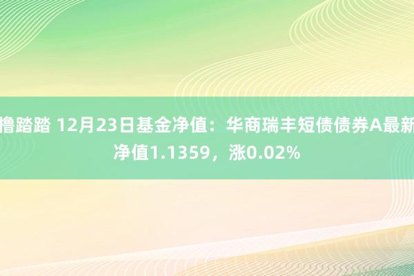 撸踏踏 12月23日基金净值：华商瑞丰短债债券A最新净值1.1359，涨0.02%