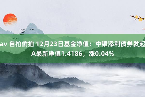 av 自拍偷拍 12月23日基金净值：中银添利债券发起A最新净值1.4186，涨0.04%