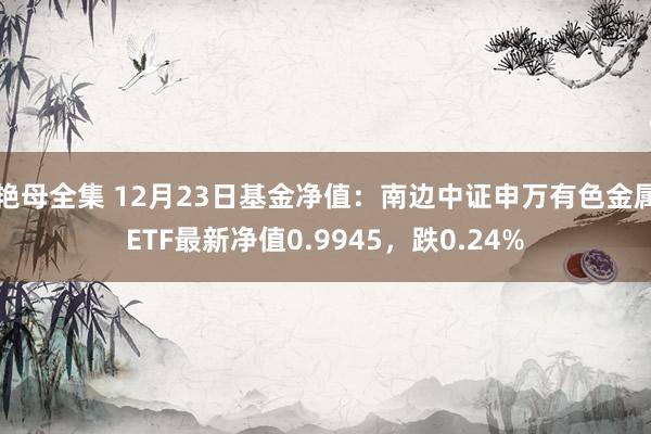 艳母全集 12月23日基金净值：南边中证申万有色金属ETF最新净值0.9945，跌0.24%