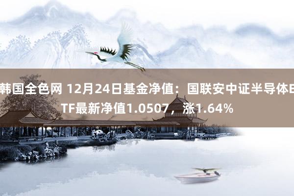 韩国全色网 12月24日基金净值：国联安中证半导体ETF最新净值1.0507，涨1.64%