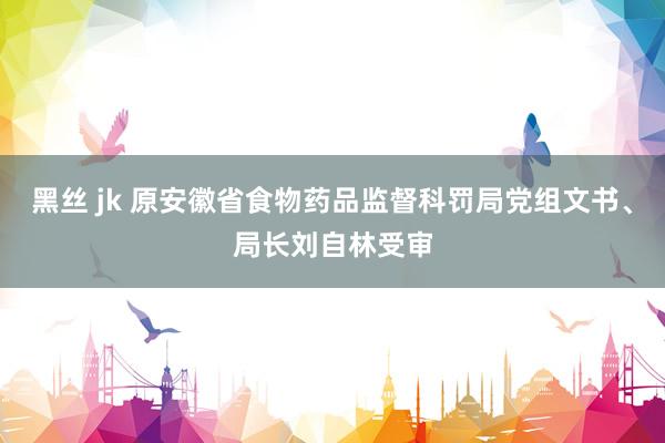 黑丝 jk 原安徽省食物药品监督科罚局党组文书、局长刘自林受审