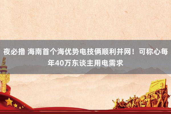 夜必撸 海南首个海优势电技俩顺利并网！可称心每年40万东谈主用电需求