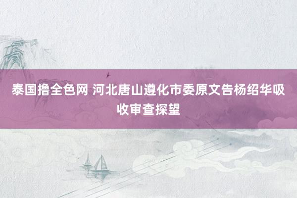 泰国撸全色网 河北唐山遵化市委原文告杨绍华吸收审查探望