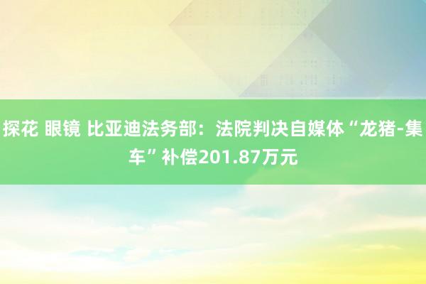 探花 眼镜 比亚迪法务部：法院判决自媒体“龙猪-集车”补偿201.87万元