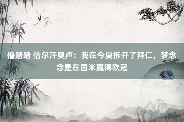 撸踏踏 恰尔汗奥卢：我在今夏拆开了拜仁，梦念念是在国米赢得欧冠