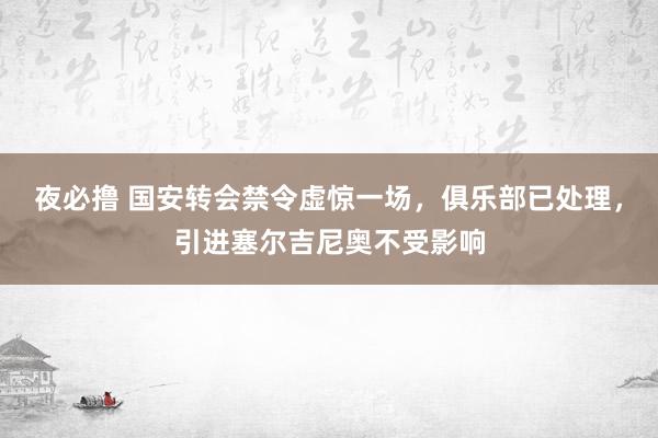 夜必撸 国安转会禁令虚惊一场，俱乐部已处理，引进塞尔吉尼奥不受影响