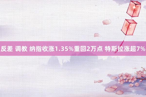 反差 调教 纳指收涨1.35%重回2万点 特斯拉涨超7%