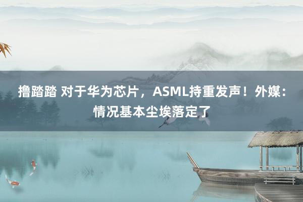 撸踏踏 对于华为芯片，ASML持重发声！外媒：情况基本尘埃落定了