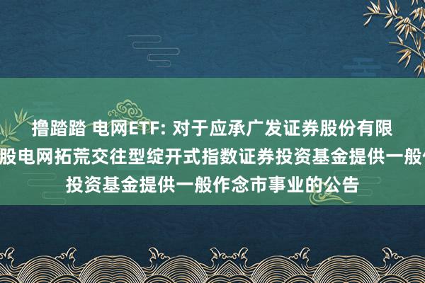 撸踏踏 电网ETF: 对于应承广发证券股份有限公司为国泰恒生A股电网拓荒交往型绽开式指数证券投资基金提供一般作念市事业的公告