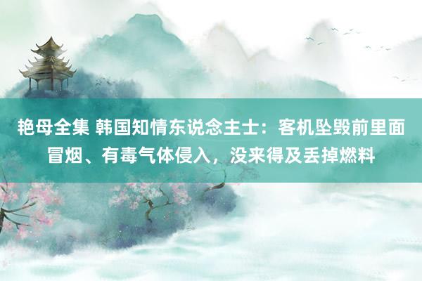 艳母全集 韩国知情东说念主士：客机坠毁前里面冒烟、有毒气体侵入，没来得及丢掉燃料