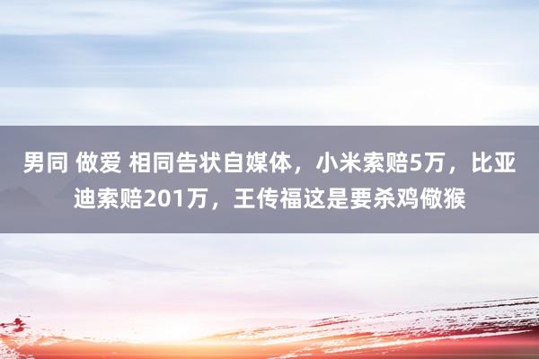 男同 做爱 相同告状自媒体，小米索赔5万，比亚迪索赔201万，王传福这是要杀鸡儆猴