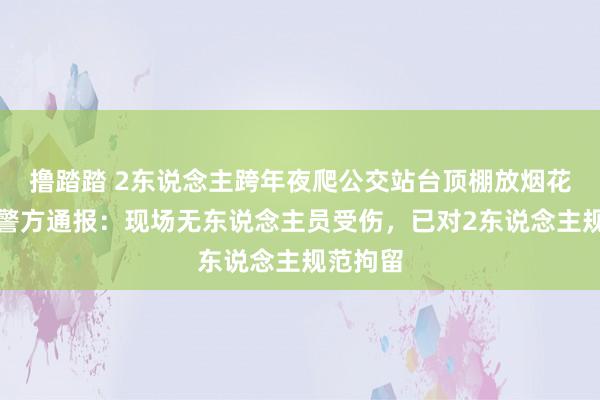 撸踏踏 2东说念主跨年夜爬公交站台顶棚放烟花，徐州警方通报：现场无东说念主员受伤，已对2东说念主规范拘留