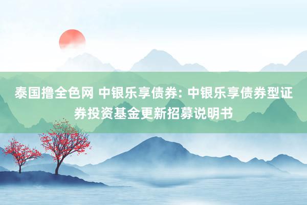 泰国撸全色网 中银乐享债券: 中银乐享债券型证券投资基金更新招募说明书