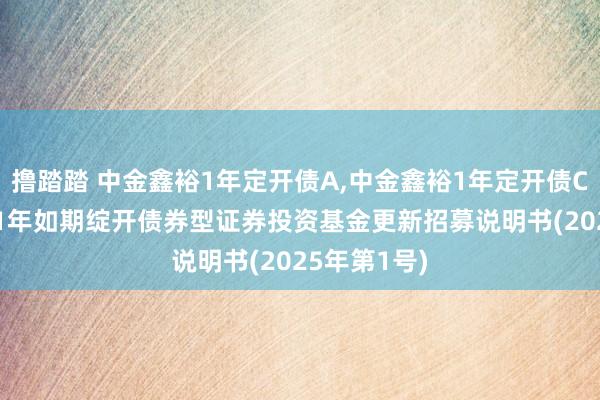 撸踏踏 中金鑫裕1年定开债A，中金鑫裕1年定开债C: 中金鑫裕1年如期绽开债券型证券投资基金更新招募说明书(2025年第1号)