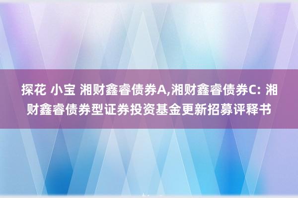 探花 小宝 湘财鑫睿债券A，湘财鑫睿债券C: 湘财鑫睿债券型证券投资基金更新招募评释书