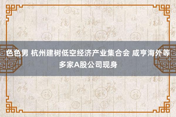 色色男 杭州建树低空经济产业集合会 咸亨海外等多家A股公司现身