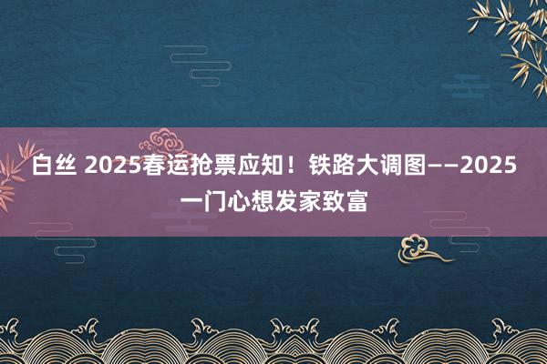 白丝 2025春运抢票应知！铁路大调图——2025一门心想发家致富