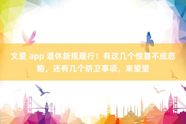 文爱 app 退休新规履行！有这几个惊喜不成忽略，还有几个防卫事项，来望望