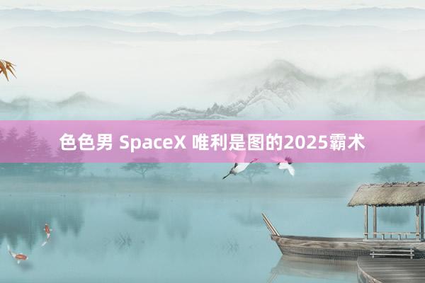 色色男 SpaceX 唯利是图的2025霸术