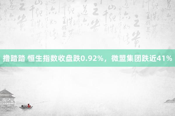 撸踏踏 恒生指数收盘跌0.92%，微盟集团跌近41%