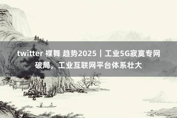 twitter 裸舞 趋势2025｜工业5G寂寞专网破局，工业互联网平台体系壮大