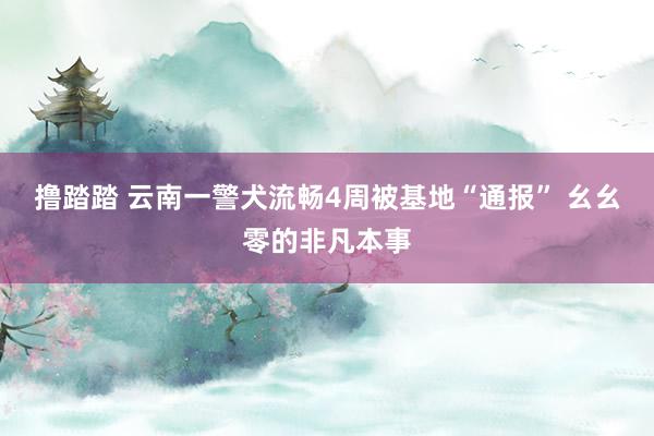 撸踏踏 云南一警犬流畅4周被基地“通报” 幺幺零的非凡本事