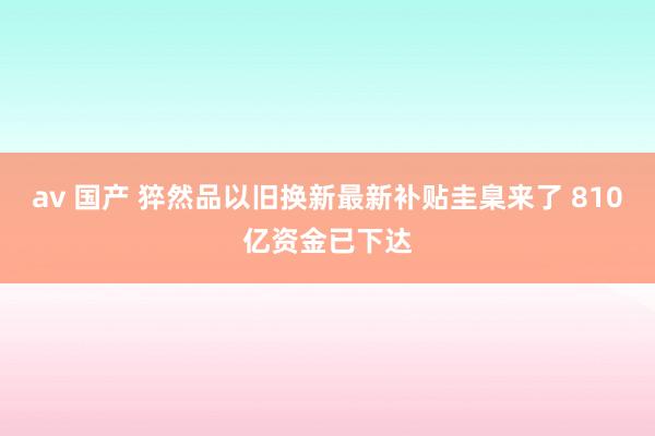 av 国产 猝然品以旧换新最新补贴圭臬来了 810亿资金已下达