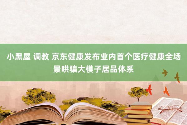 小黑屋 调教 京东健康发布业内首个医疗健康全场景哄骗大模子居品体系