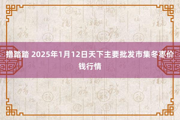 撸踏踏 2025年1月12日天下主要批发市集冬枣价钱行情