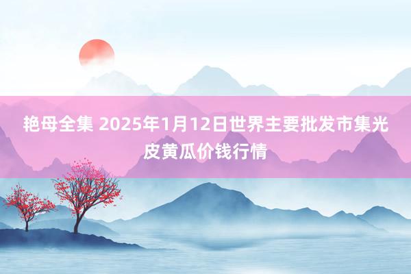 艳母全集 2025年1月12日世界主要批发市集光皮黄瓜价钱行情