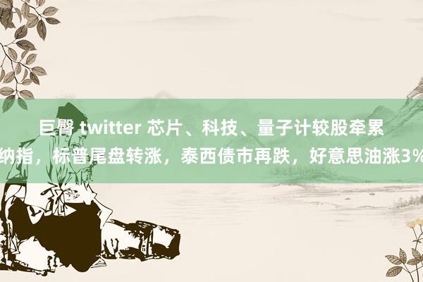 巨臀 twitter 芯片、科技、量子计较股牵累纳指，标普尾盘转涨，泰西债市再跌，好意思油涨3%