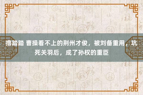 撸踏踏 曹操看不上的荆州才俊，被刘备重用，坑死关羽后，成了孙权的重臣