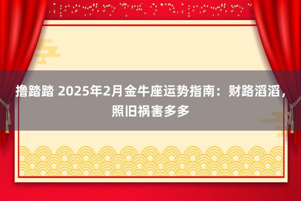 撸踏踏 2025年2月金牛座运势指南：财路滔滔，照旧祸害多多