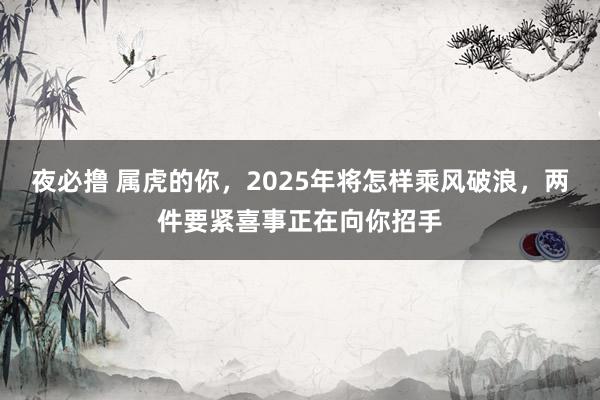 夜必撸 属虎的你，2025年将怎样乘风破浪，两件要紧喜事正在向你招手